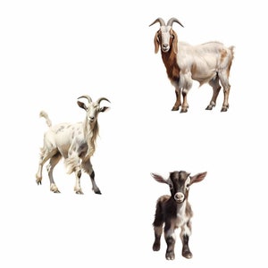 Get Clipart, gårdsgetunge djur akvarell digitala nedladdningar söt get transparent bakgrund PNG högkvalitativ överlägg bild 2