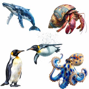 Sea life Clipart Whale Digital Downloads Shark art Animal Watercolor Ocean Marine Creatures Octopus illustrations sealife artwork coral image 10