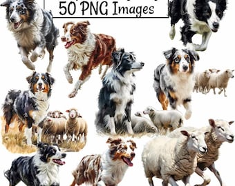 Sheep Herding Dogs Watercolor Clipart Digital Downloads Stock Australian Shepherd Border Collie Working farm dog, Livestock Guardian