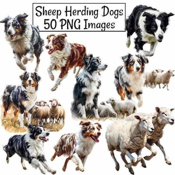 Sheep Herding Dogs Watercolor Clipart Digital Downloads, 50 Stock Australian Shepherd Border Collie Working farm dog, Livestock Guardian