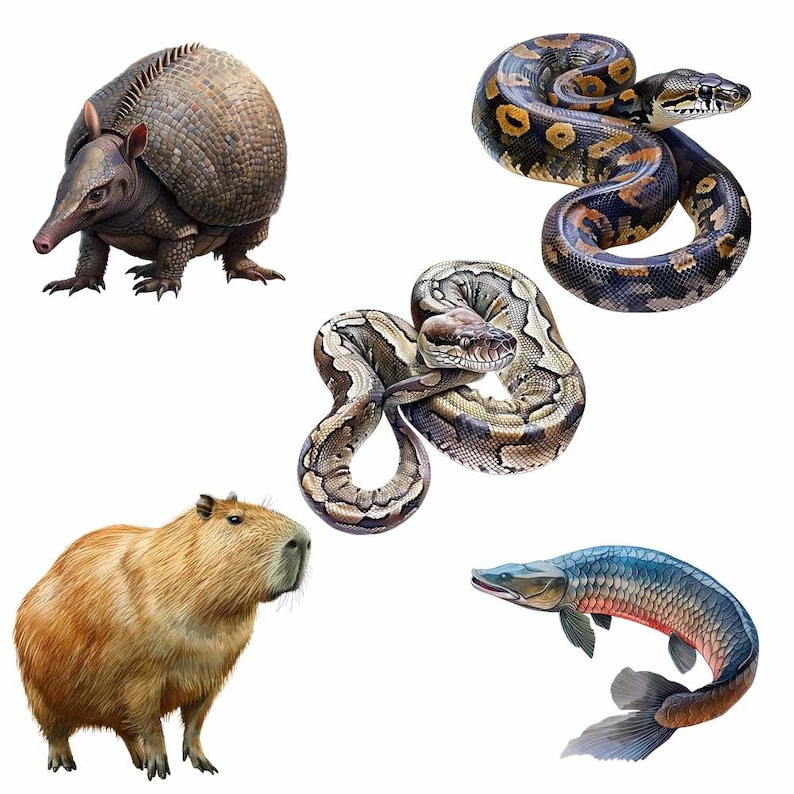 May include: A collection of five animals: a brown armadillo, a brown and black snake, a brown and black snake, a brown capybara, and a blue and red fish.