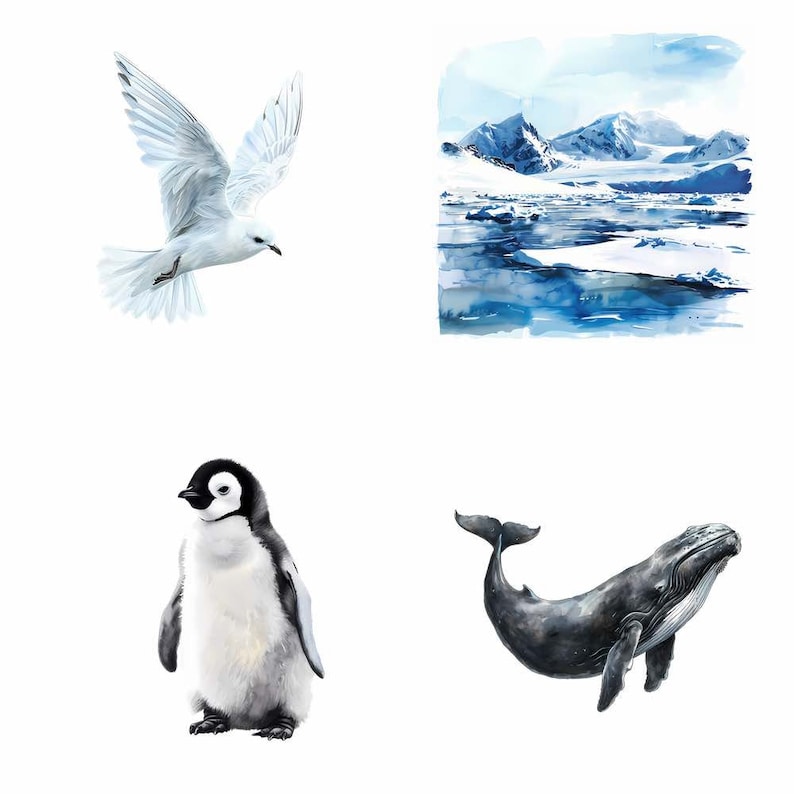 May include: A watercolor painting of an arctic landscape with mountains, ice, and water. There is also a white seagull flying, a penguin standing on the ground, and a whale swimming in the water.