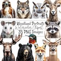Woodland Animals Clipart Watercolor Portrait North America Wildlife Illustration Animal Digital Downloads Forest Nursery art Baby Shower