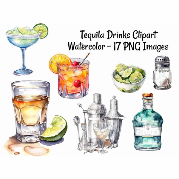 Tequila Drinks Alcohol Clipart Digital Downloads, 17 Liquor Watercolor Overlay, Cinco De Mayo Fiesta, Margarita, Agave, Shots, Bartender