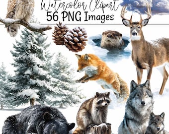 Winter Woodland Clipart Watercolor Animals Forest Art Christmas Illustrations Winter PNG Images Woods Digital Download Wildlife Clipart