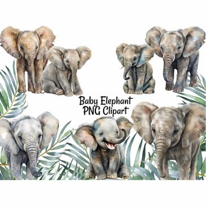 Baby Elephant Clipart Digital Downloads, 7 Safari Jungle Babies Overlay High Quality Transparent Background, Art Prints, Shirts, Stickers