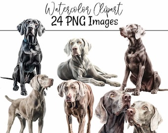 Weimaraner Clipart Dog Watercolor Hunting Dog Images Pup Breed Illustrations Animal Art Puppy Digital Download Gray Ghost