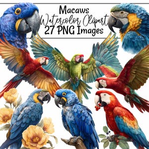 Puede incluir: Clipart de acuarela con guacamayos coloridos, incluyendo loros azules, rojos, verdes y amarillos. La imagen muestra aves en vuelo y posadas, con detalles de plumas. El texto superior dice "Macaws Watercolor Clipart 27 PNG Images."