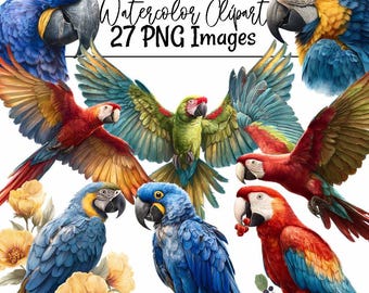 Guacamayo acuarela Clipart ilustraciones de loros pájaro descarga digital guacamayo militar azul dorado guacamayo jacinto tropical escarlata ala verde