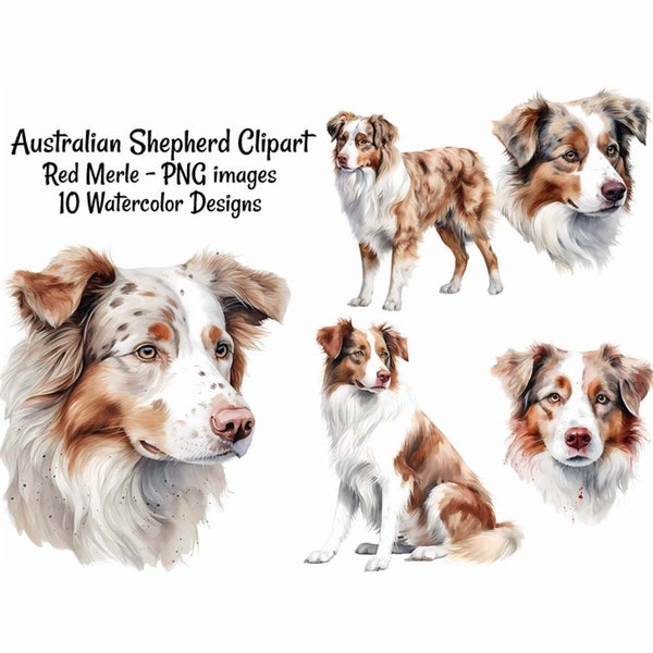 Australian Shepherd Watercolor Digital Downloads, 10 Red Merle Color Dog Clipart , Printable Transparent Background,Shirts, stickers cards