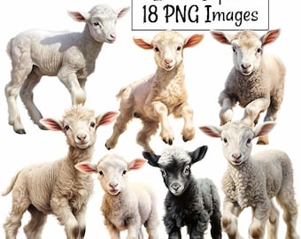 Lamb Clipart, Baby Sheep Animal Digital Downloads, 18 Watercolor Spring Easter Farm Transparent Background, PNG Images, Baby Easter Lamb