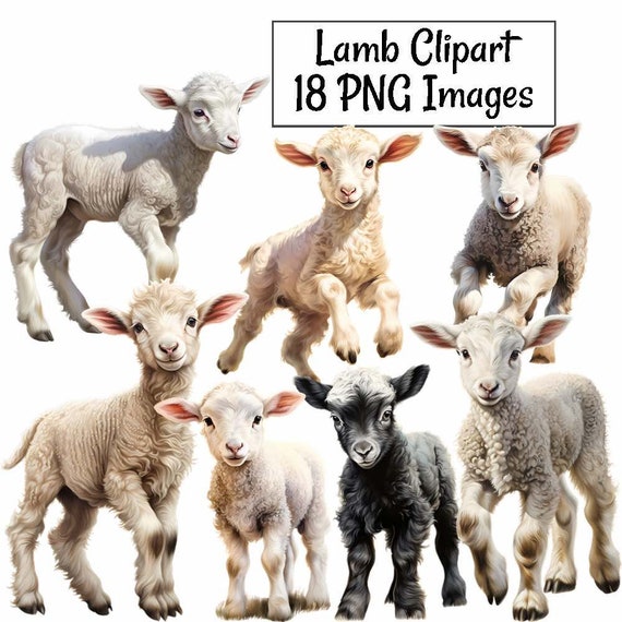 Lamb Clipart, Baby Sheep Animal Digital Downloads, 18 Watercolor Spring Easter Farm Transparent Background, PNG Images, Baby Easter Lamb