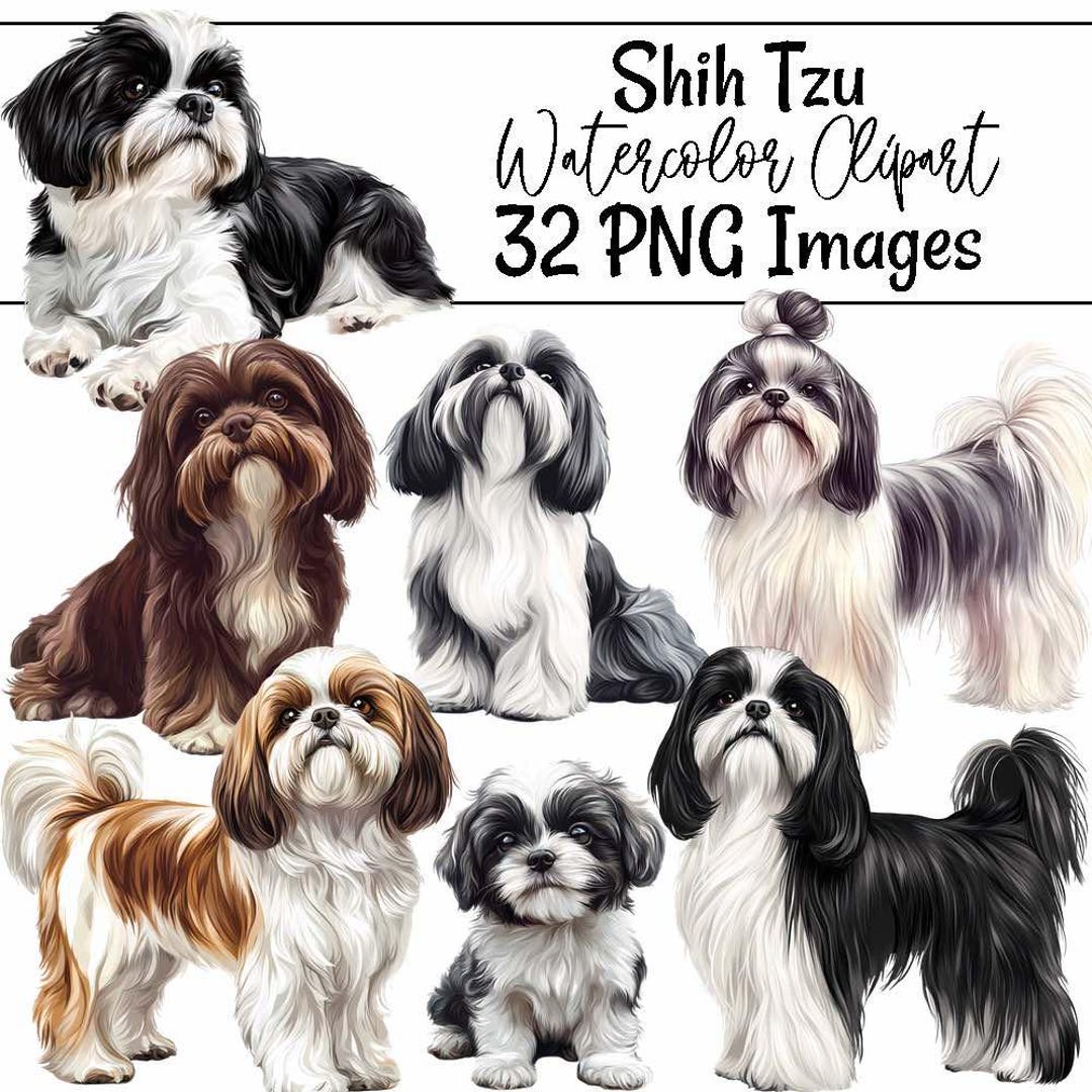 Shih Tzu Clipart Dog Breed Watercolor Digital Downloads Animal Sublimation  Dog Clipart Transparent Background Shih Tzu Illustration Puppy, image size:1080x1080