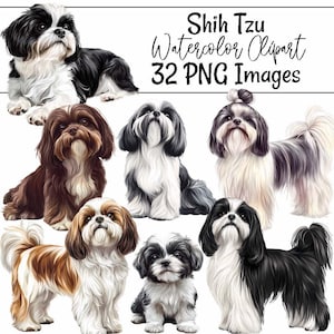 Clipart di razza di cane Shih Tzu Acquerello Download digitali Sublimazione di animali Clipart di cani Sfondo trasparente Illustrazione di cucciolo di Shih Tzu