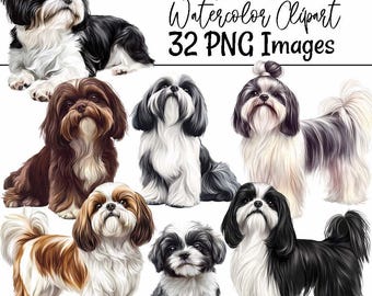 Shih Tzu Clipart Dog Breed Watercolor Digital Downloads Animal Sublimation Dog Clipart Transparent Background Shih Tzu Illustration Puppy