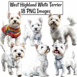 West Highland White Terrier Clipart, 18 Watercolor Digital Downloads, Westie Scotland Realistic PNG Dog Breed, Transparent Background