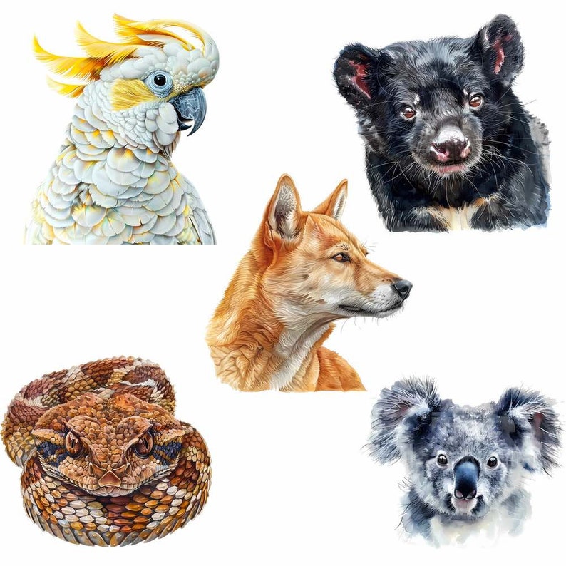 Pu&ograve; includere: Una collezione di animali australiani, tra cui un cacatua bianco, un diavolo della Tasmania nero, un dingo rosso, un serpente marrone e beige e un koala grigio.