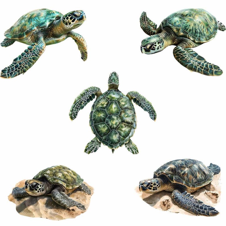 May include: Five green sea turtles with brown and black markings on their shells. The turtles are swimming in a white background.