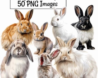 Bunny Clipart,  Watercolor Digital Downloads Easter Rabbit Overlay Art Wildlife Woodland Animal Lop Ear Bunnies, Cute Animal Art