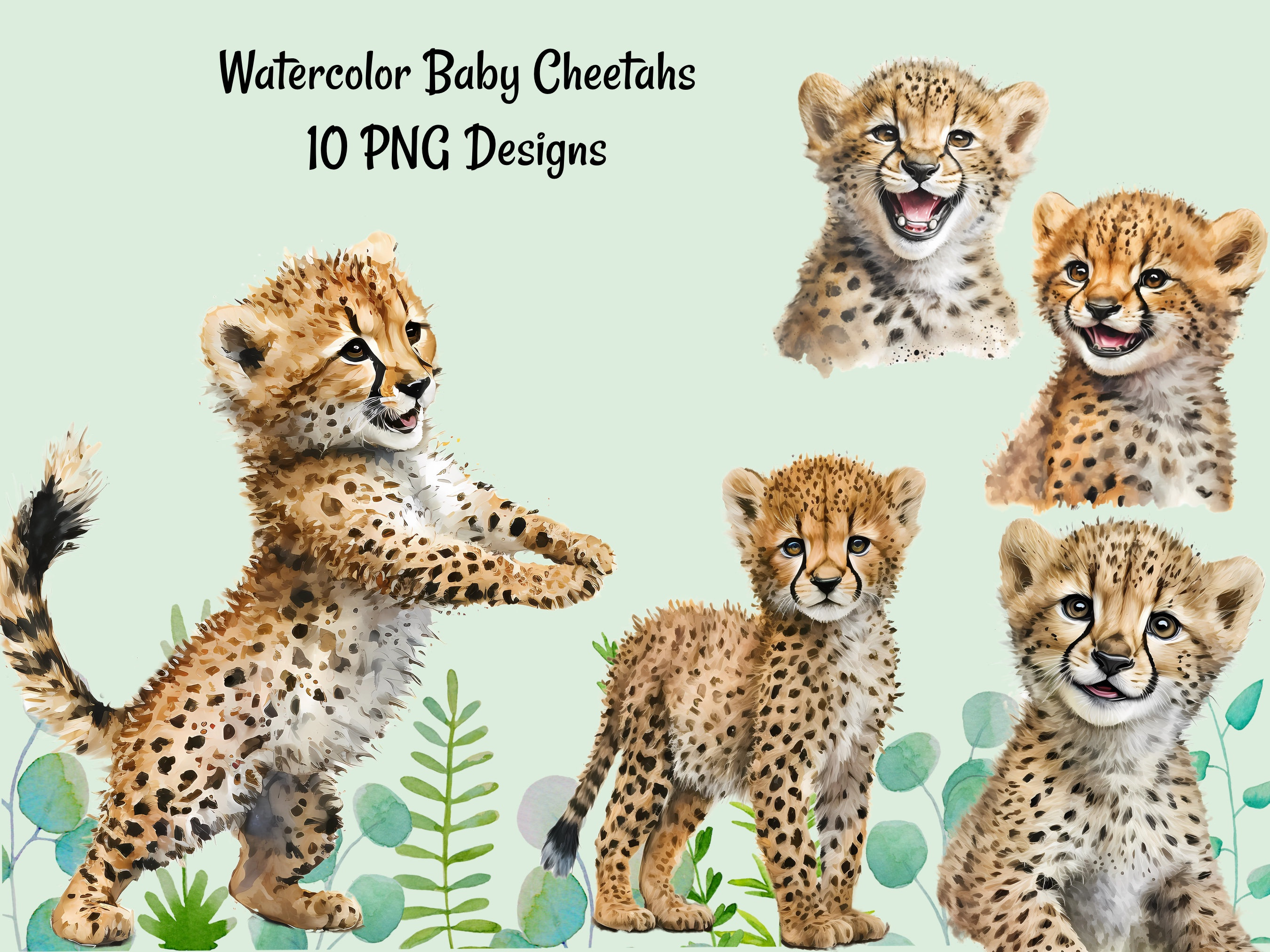 Baby cheetah women's classics sale