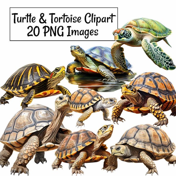 Turtle Tortoise Clipart, Watercolor Reptile  Digital Downloads, 20 Pet Red-Eared Slider Sea  Box Pond Leopard  Hermann's Giant Tortoise
