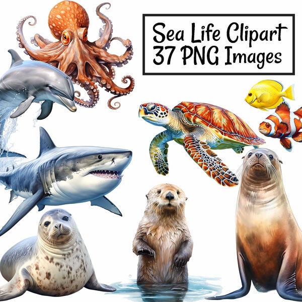 Zeeleven grote clipart bundel digitale downloads, 37 aquarel oceaan mariene wezens, zeehond, dolfijn, haai, walvis, vis, schildpad, otter