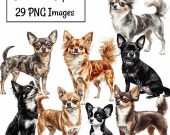 Chihuahua Aquarell Clipart Spielzeug Hund Digitale Downloads Sublimation Hunderasse hochwertige transparente Hintergrund Welpen Illustrationen