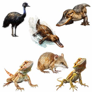 May include: A collection of Australian animals, including an emu, a platypus, a bandicoot, and two bearded dragons.