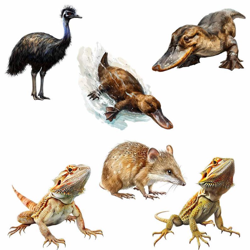 May include: A collection of Australian animals, including an emu, a platypus, a bandicoot, and two bearded dragons.
