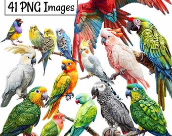 Imágenes prediseñadas de acuarela de aves de compañía: descargas digitales, loro, guacamayo, periquito, cacatúa, agapornis, periquito gris africano, superposición de mascotas