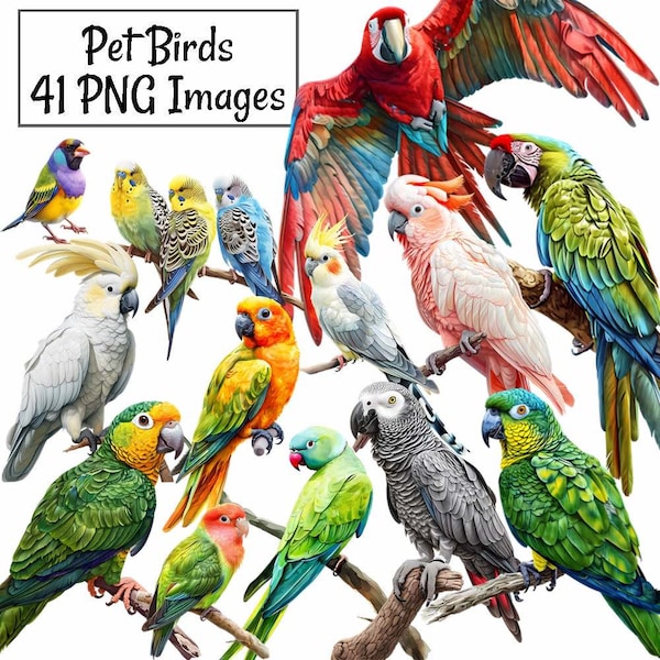 Pet Birds Watercolor Clipart Digital Downloads, 41 Bundle Parrot Macaw Parakeet Cockatiel Lovebird African Grey Budgerigar, Pets Overlay