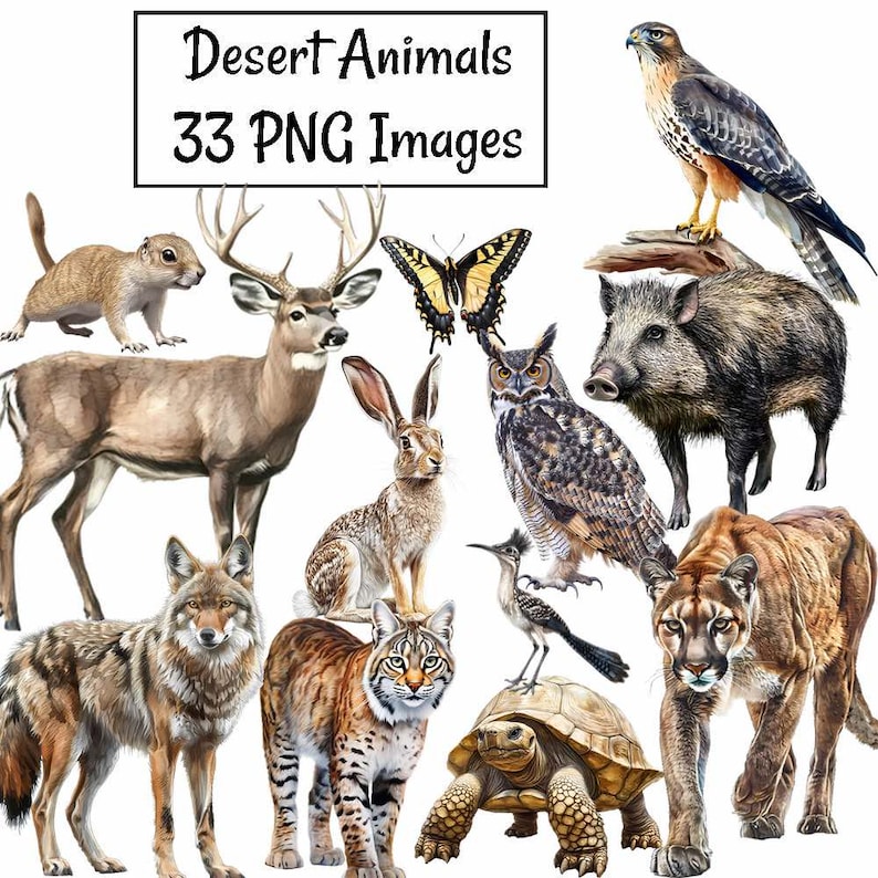 May include: A digital collection of 33 PNG images titled Desert Animals, featuring detailed watercolour-style illustrations of a deer, coyote, bobcat, tortoise, roadrunner, owl, wild boar, hawk, rabbit, squirrel, and a yellow butterfly.