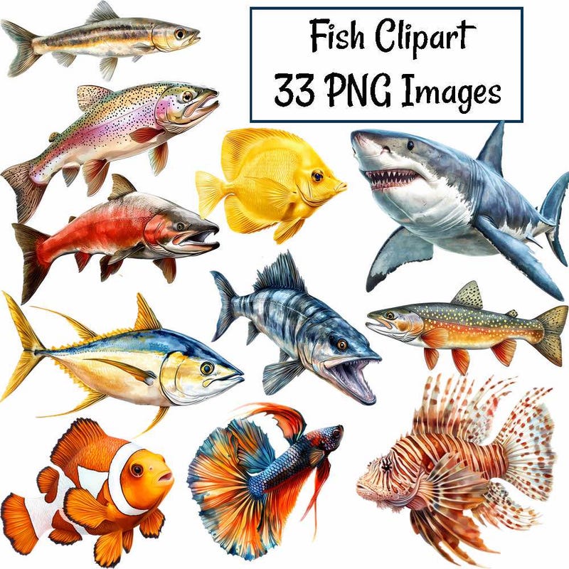 Saltwater Fish - Etsy