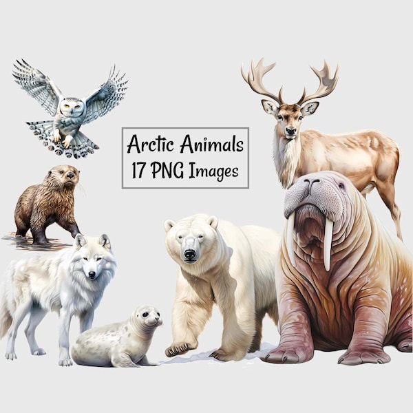 Arctic Animals North Pole Wildlife Watercolor Clipart Digital Downloads, 17 South Pole Antarctica Polar Bear Walrus Reindeer Seal Fox Wolf