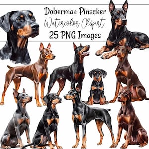 Doberman Pinscher Dobie Watercolor Digital Downloads, 25 Sublimation Doberman Dobie Black Red Dog Clipart , Transparent Background Overlay