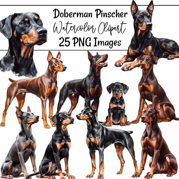 ドーベルマン・ピンシャーのクリップアート ドビー 水彩画 デジタル