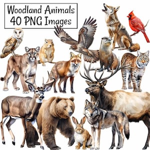 Woodland Animals Clipart, North America Watercolor Digital Downloads, 40 Forest Wildlife Overlay Deer Wolf Bear Rabbit Raccoon Fox Badger