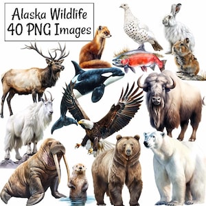 Alaska Wildtiere Clipart, Aquarell digitale Downloads, 40 Waldtiere Nordamerika Tier hochwertige Overlay, 2 Landschaften, Orca Eisbär