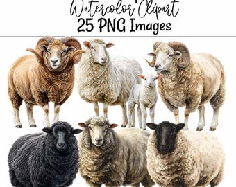 Sheep Watercolor Clipart Lamp Digital Download Farm Animal Illustration Art Nursery Farmyard Livestock PNG Images Sheep Wool