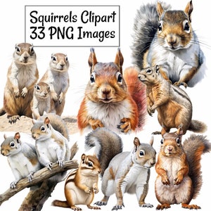 May include: A digital clipart set of 33 squirrel images. The images feature squirrels in various poses and colors, including gray, brown, and red. The squirrels are depicted in a realistic style, with detailed fur and facial expressions. The images are perfect for use in crafts, scrapbooking, and other creative projects.