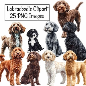 Labradoodle Clipart, 25 Watercolor Digital Downloads, Poodle Labrador Lab Retriever Mix, Portrait Dog Clipart ,Transparent Background PNG
