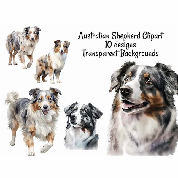 Australian Shepherd Watercolor Digital Downloads, 10 Blue Merle Color Dog Clipart , Transparent Background, Art Prints, Shirts, Stickers