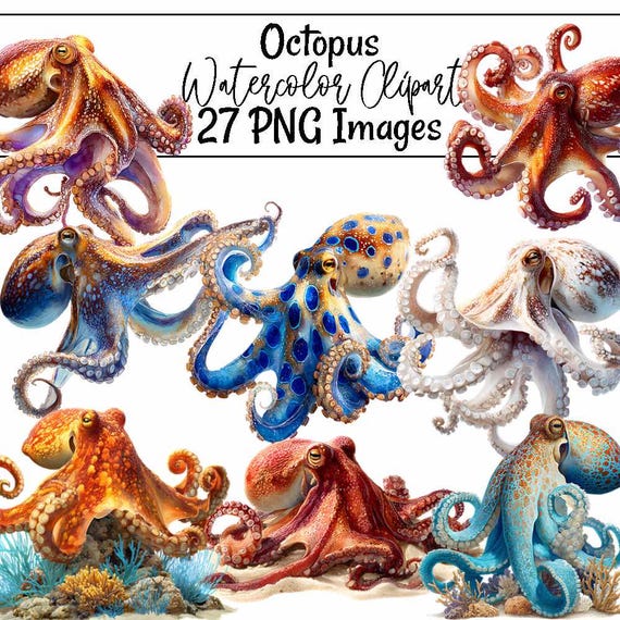 タコの水彩画クリップアート 海の生物のイラスト 海洋動物アート 海の