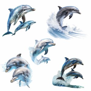 May include: Six dolphins leaping out of the water, some with splashes of water around them. The dolphins are gray and white with black eyes. The background is white.