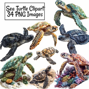 Sea Turtle Clipart Digital Download Turtle Watercolor Ocean Marine Life Creatures Green Leatherback Hawksbill Turtles Sea Life reptile