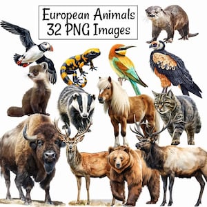 ヨーロッパの動物のクリップアート、32 種類のヨーロッパの野生動物の水彩画のデジタル ダウンロード、PNG オーバーレイの森、バイソン、オオヤマネコ、オオカミ、クマ、ツノメドリ