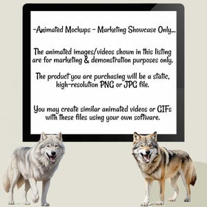 Wolf Overlay Wolves Realistic Digital Downloads Wolf Clipart Woodland High Quality Transparent Background, Animal Wildlife Photographer image 8