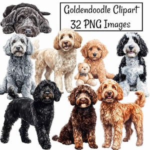 Goldendoodle Clipart, 32 Watercolor Digital Downloads, Poodle Golden Retriever Mix, Portrait Dog Clipart ,Transparent Background PNG