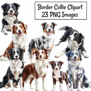 May include: A collection of Border Collie clipart images. The dogs are depicted in various poses and colors, including black and white, brown and white, and blue merle. The text "Border Collie Clipart 23 PNG Images" is displayed in a black rectangle.