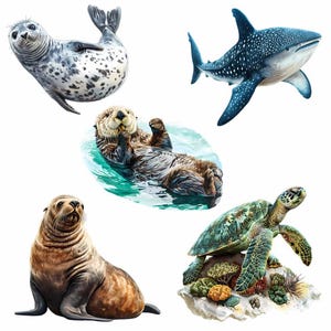 Sea life Clipart Whale Digital Downloads Shark art Animal Watercolor Ocean Marine Creatures Octopus illustrations sealife artwork coral image 2